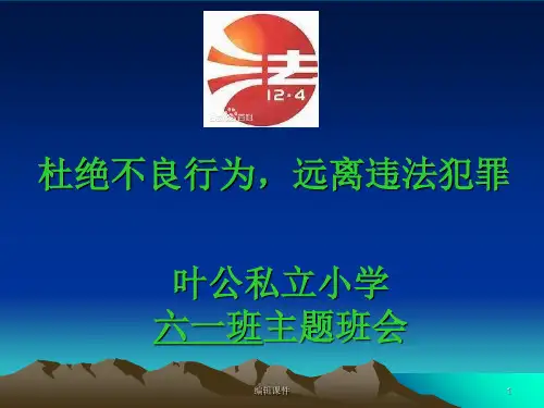 六一班《杜绝不良行为-远离违法犯罪》法制教育主题班会