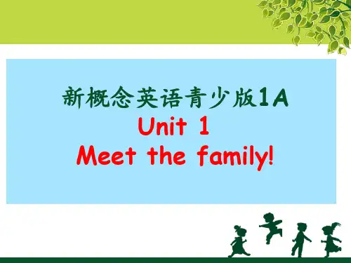 新概念青少版 1A Unit1 Meet te family!