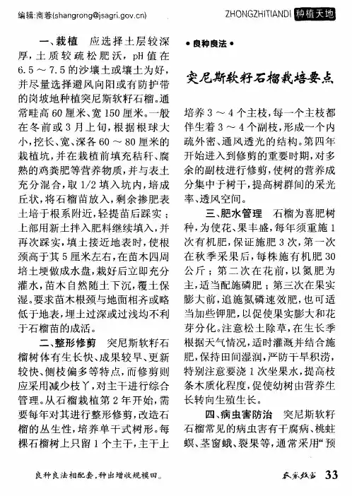 突尼斯软籽石榴栽培要点