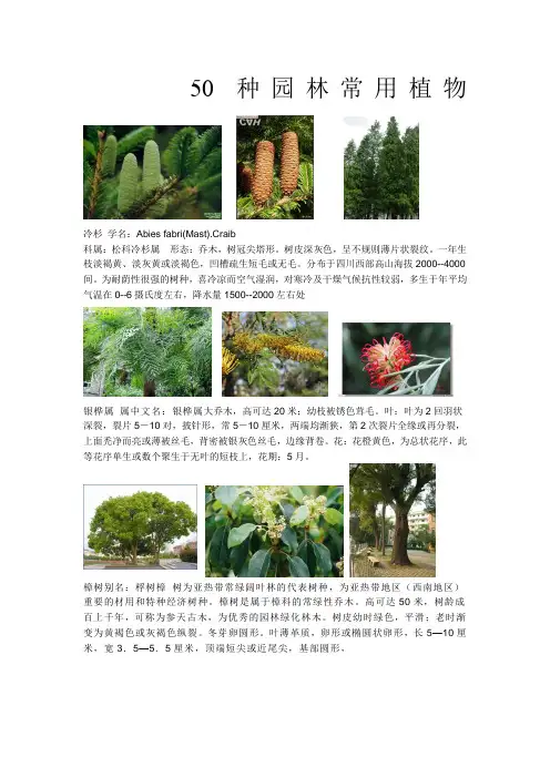 50多种园林常用植物