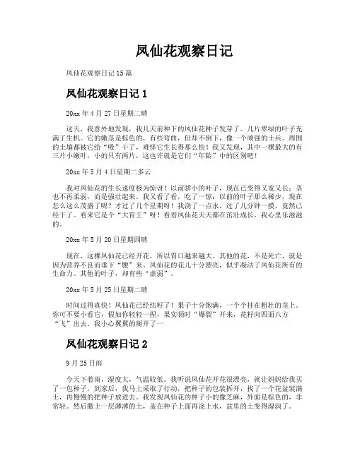 凤仙花观察日记