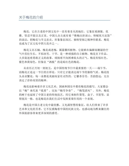 关于梅花的介绍