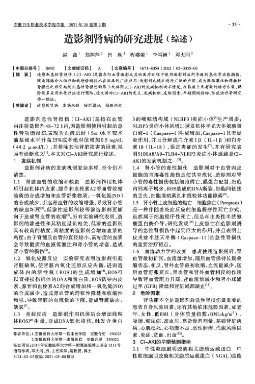 造影剂肾病的研究进展(综述)