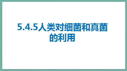 第五节人类对细菌和真菌的利用课件-人教版生物八年级上册