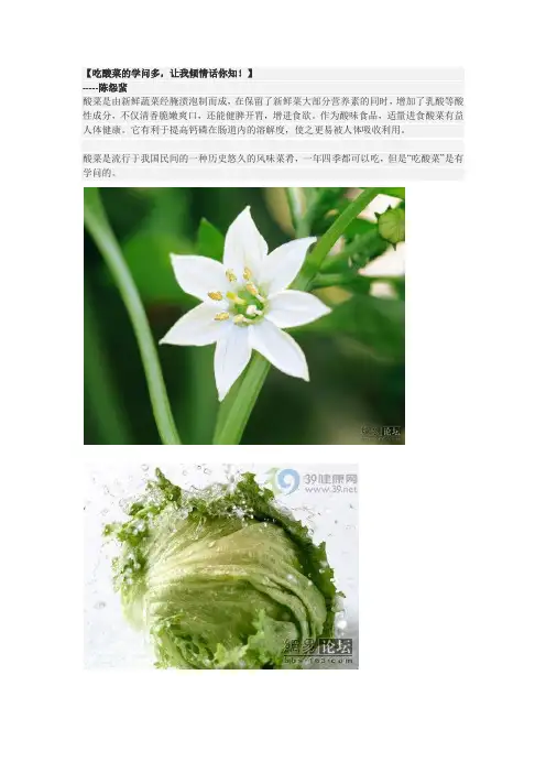 吃酸菜的学问多