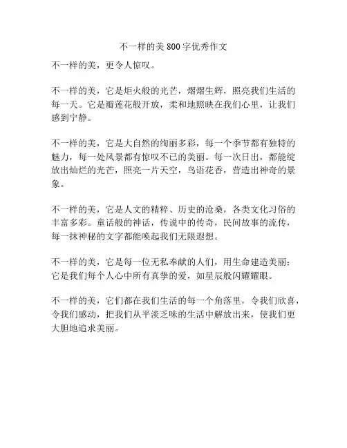 不一样的美 800字优秀作文