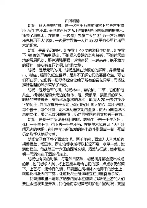 西风胡杨 阅读训练