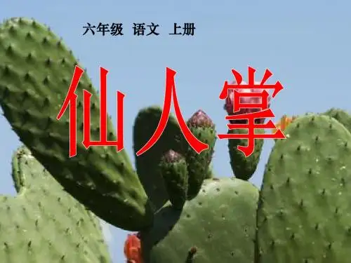 西师版六年级上册语文《仙人掌》课件PPT
