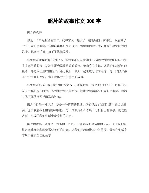 照片的故事作文300字
