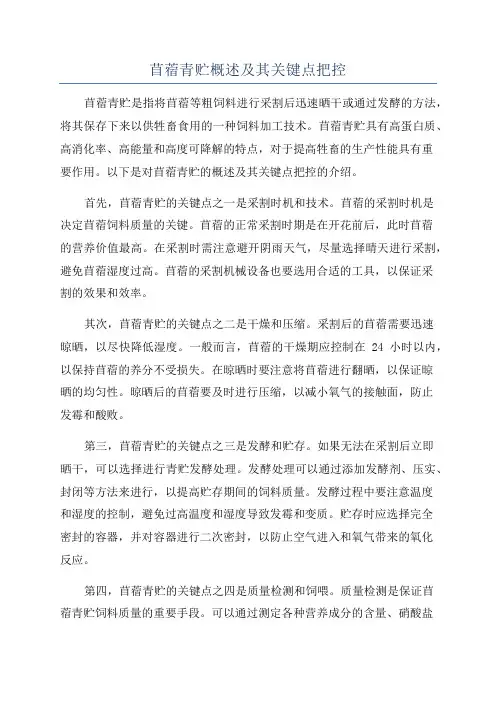 苜蓿青贮概述及其关键点把控