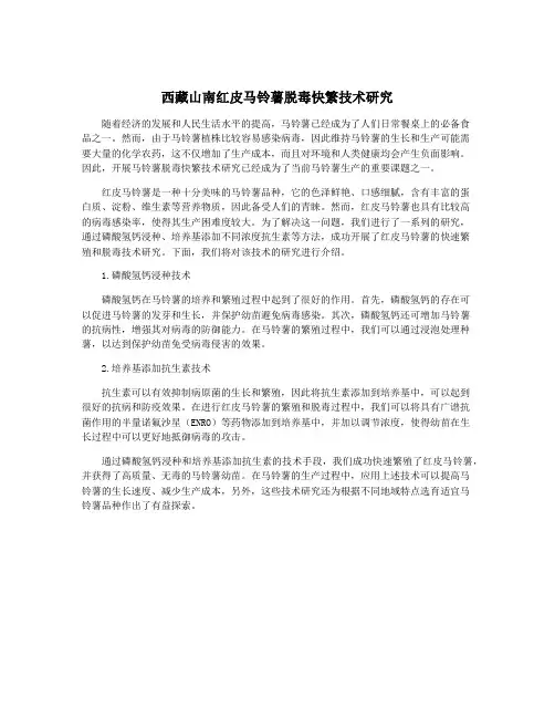 西藏山南红皮马铃薯脱毒快繁技术研究