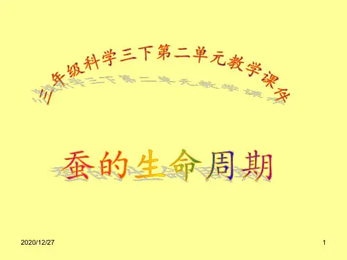 5蚕的生命周期1 ppt课件