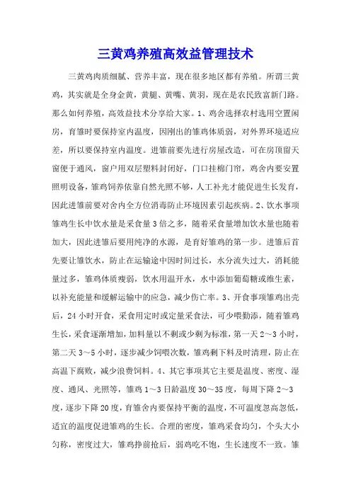 三黄鸡养殖高效益管理技术