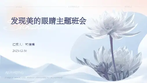 发现美的眼睛主题班会