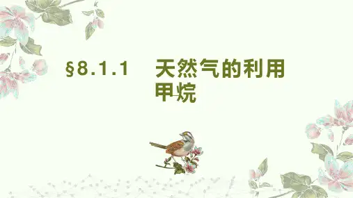 8.1.1天然气的利用 甲烷 课件 高一下学期化学苏教版(2019)必修第二册