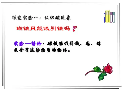 2020年磁现象  课件