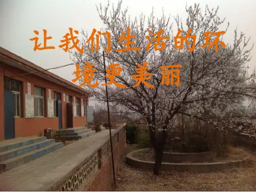 二年级下-让我们生活的环境更美丽北师大版课件(PPT)