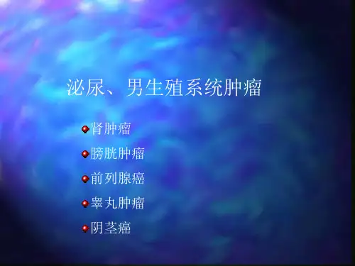 泌尿、男性生殖肿瘤PPT