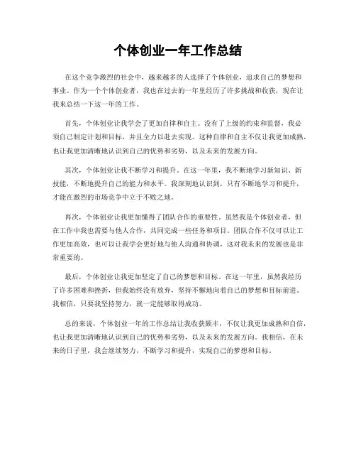 个体创业一年工作总结