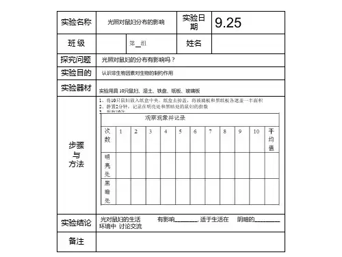 实验报告册模版