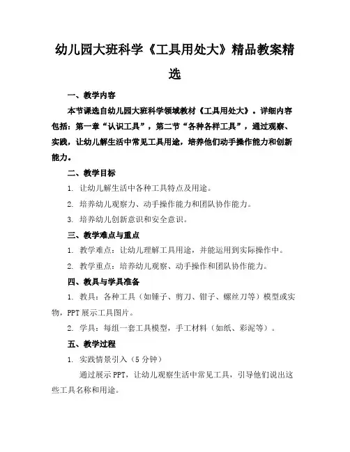 幼儿园大班科学《工具用处大》精品教案精选