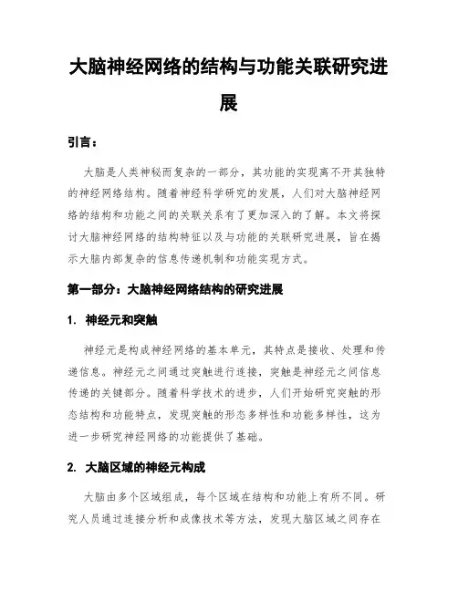 大脑神经网络的结构与功能关联研究进展