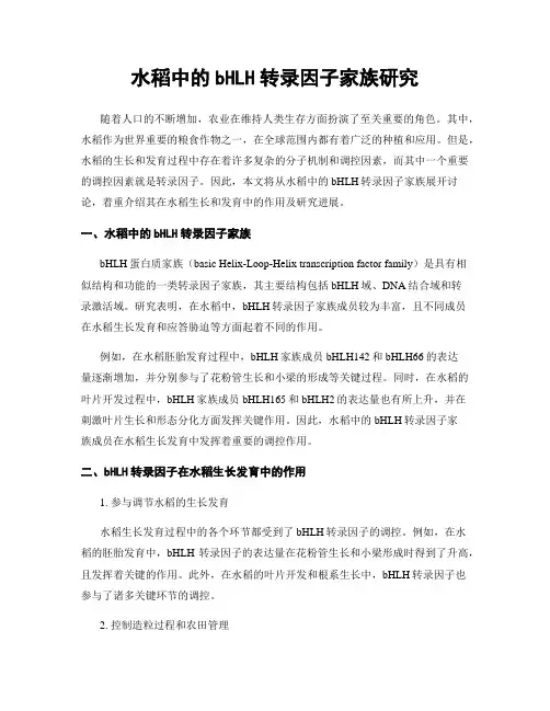 水稻中的bHLH转录因子家族研究