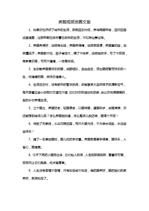 养鹅视频发圈文案