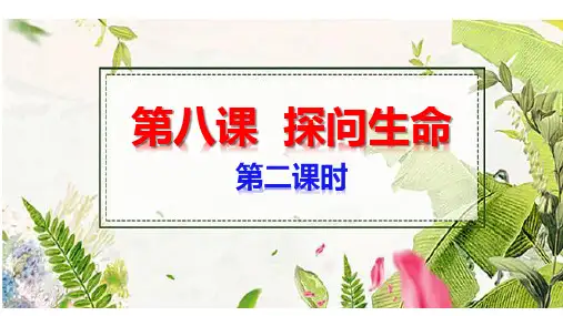 部编版七年级道德与法治上册8.2《敬畏生命》优秀课件(含视频)