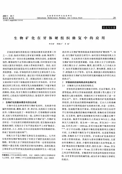生物矿化在牙体硬组织修复中的应用
