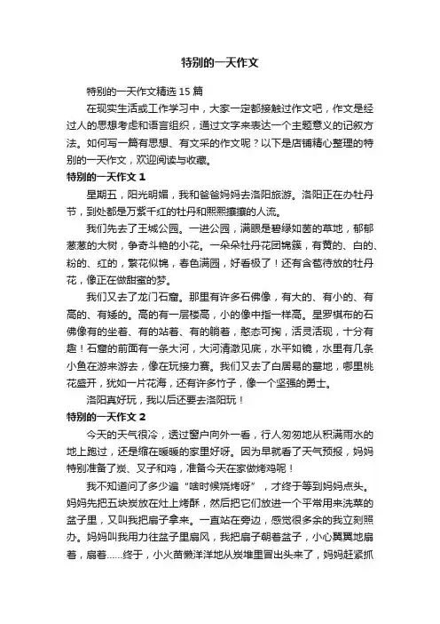 特别的一天作文