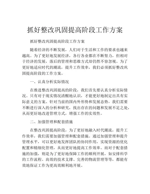 抓好整改巩固提高阶段工作方案