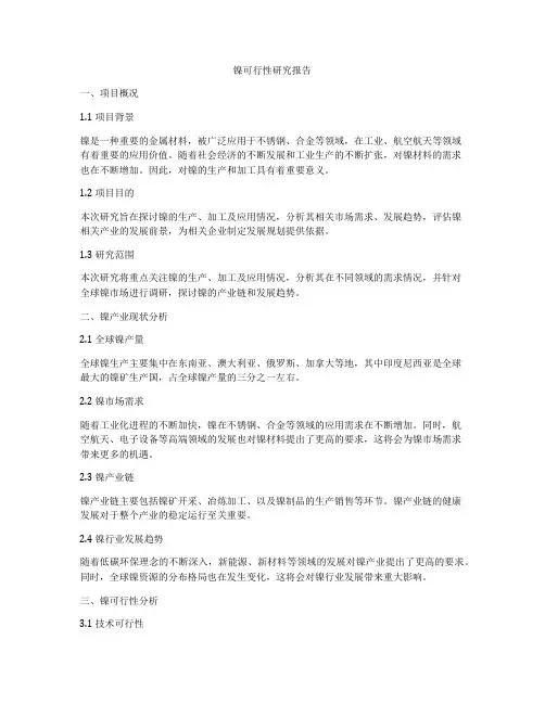 镍可行性研究报告