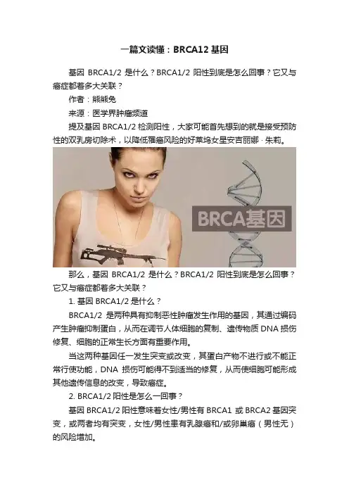 一篇文读懂：BRCA12基因