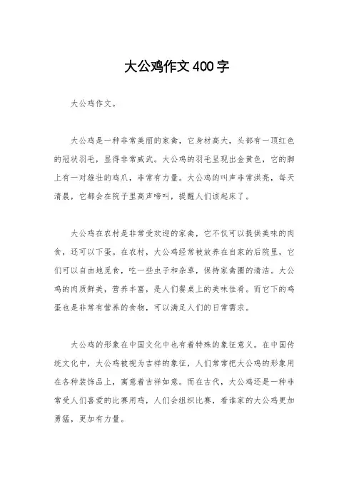 大公鸡作文400字