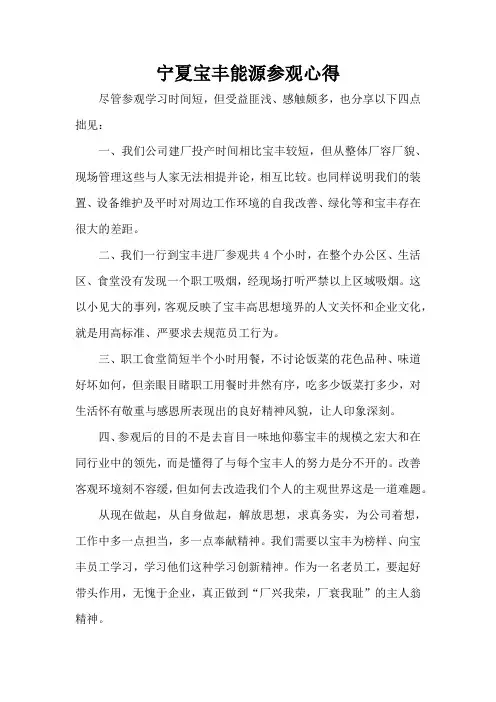 宁夏宝丰能源参观心得