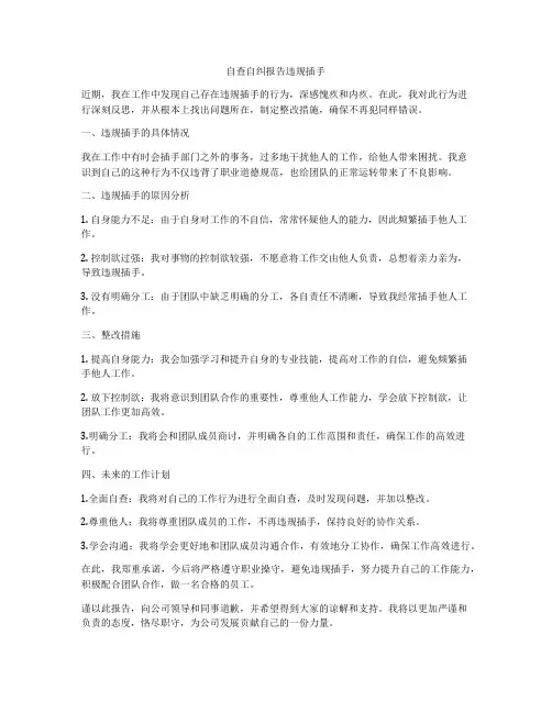 自查自纠报告违规插手