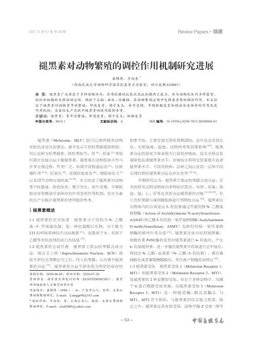 褪黑素对动物繁殖的调控作用机制研究进展