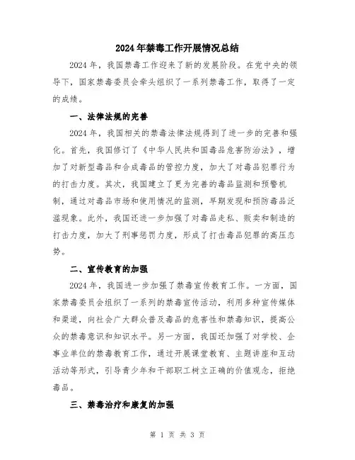 2024年禁毒工作开展情况总结