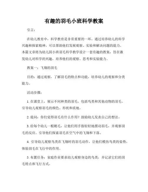 有趣的羽毛小班科学教案