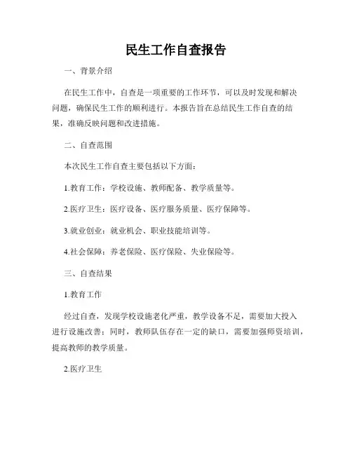 民生工作自查报告