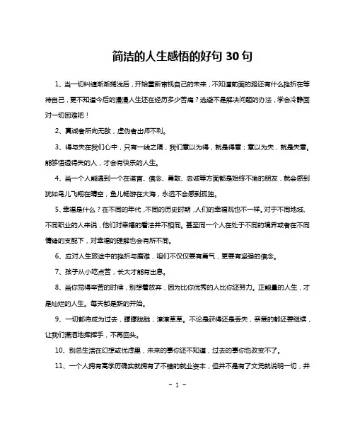 简洁的人生感悟的好句30句
