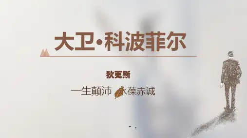 《大卫科波菲尔》PPT课件