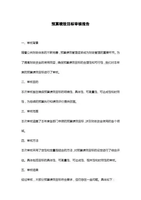 预算绩效目标审核报告