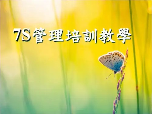 7S管理培训教学