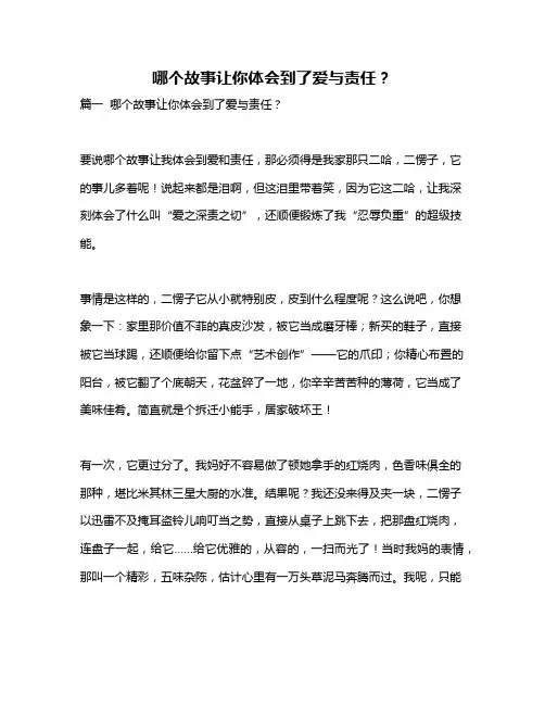 作文《哪个故事让你体会到了爱与责任？》