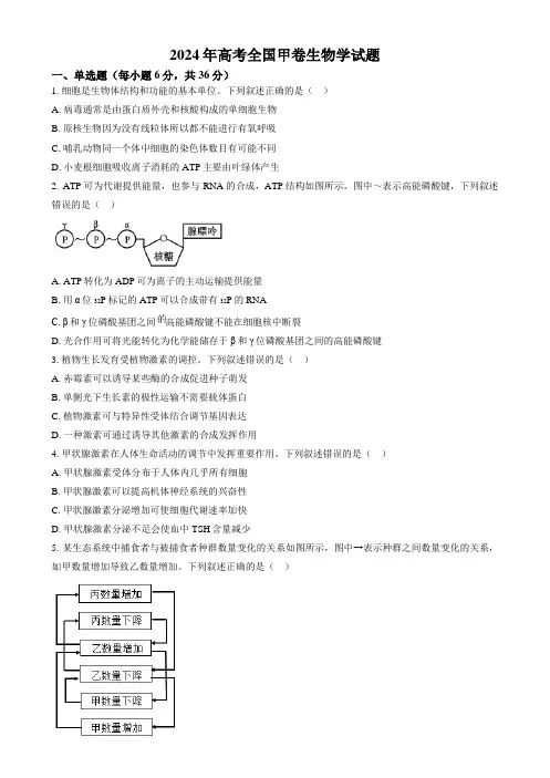 2024年高考理综生物真题(全国甲卷)试题试卷原卷答案解析