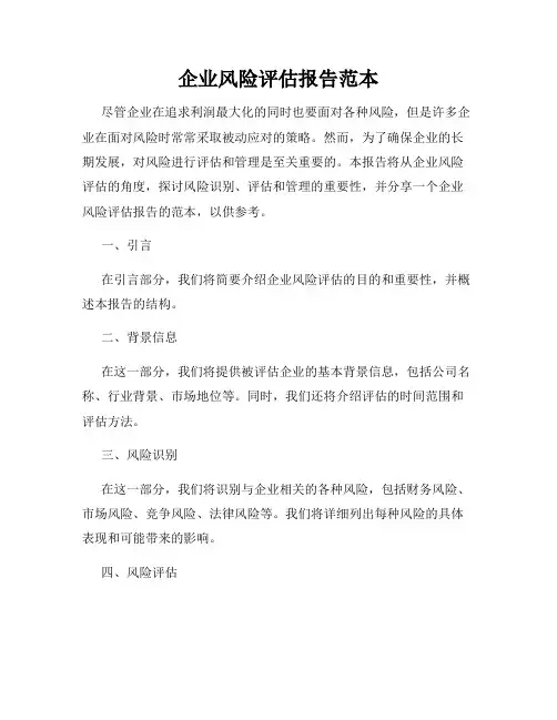 企业风险评估报告范本