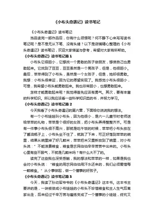 《小布头奇遇记》读书笔记