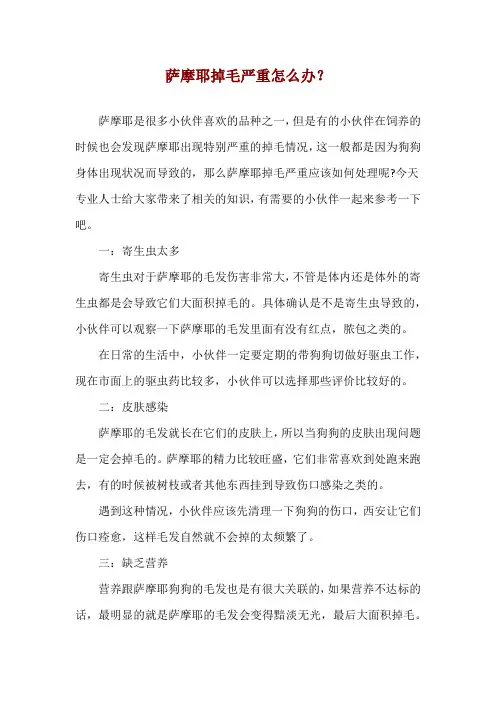 萨摩耶掉毛严重怎么办？